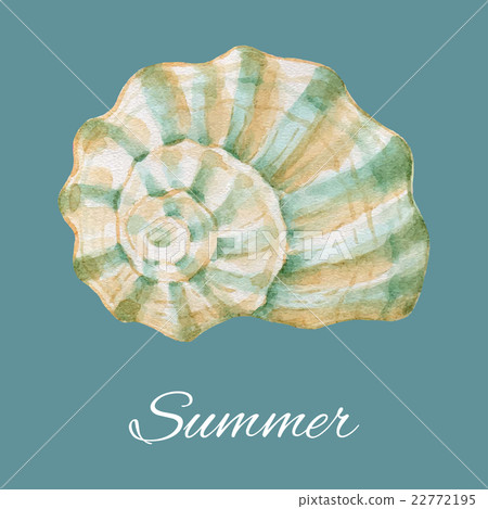 Watercolor sea shell. 22772195
