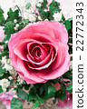 Kasisou粉紅玫瑰和Prismade花 22772343
