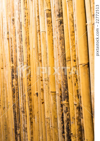 bamboo texture pattern backgroung bamboo texture pattern backgroung 22772513