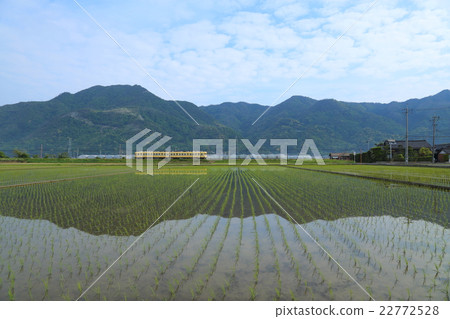 scenery scenery 22772528