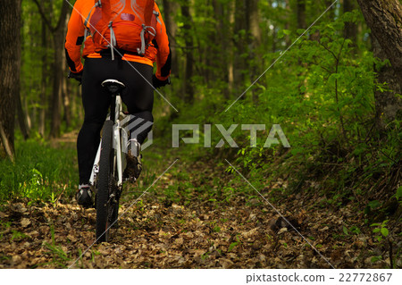 Cyclist Riding the Bike on a Trail in Summer Cyclist Riding the Bike on a Trail in Summer 22772867