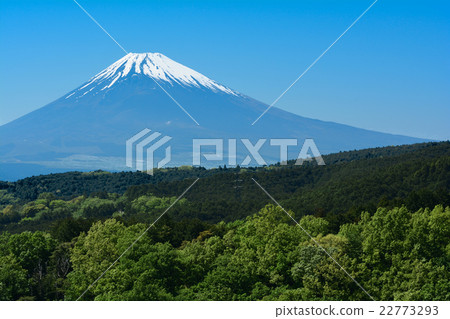 富士山 22773293