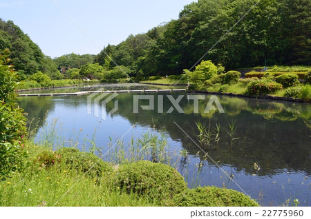 仙台市台灣森林公園 22775960