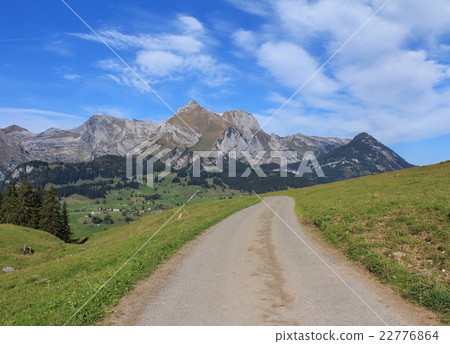Road and Mt Saentis Road and Mt Saentis 22776864
