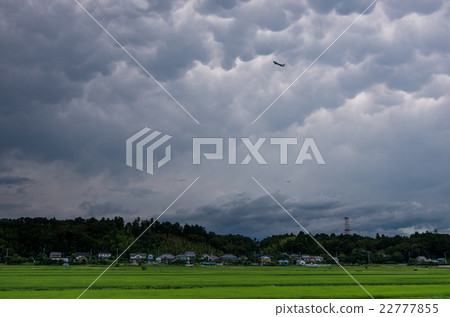 Breast cloud 22777855