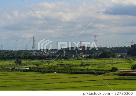 Countryside scenery in Sakura city in the summer 22780300
