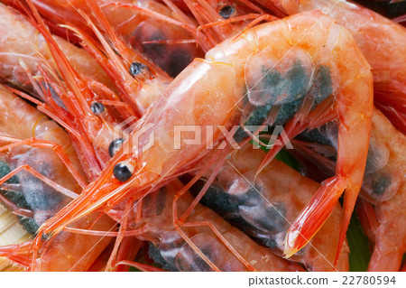 南板蝦9 南板蝦9 22780594