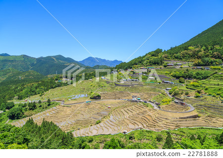 Tamada Terada in Kumano Maruyama Senjita 22781888