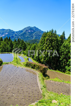 Tamada Terada在Kumano Maruyama Senjita Tamada Terada在Kumano Maruyama Senjita 22781904