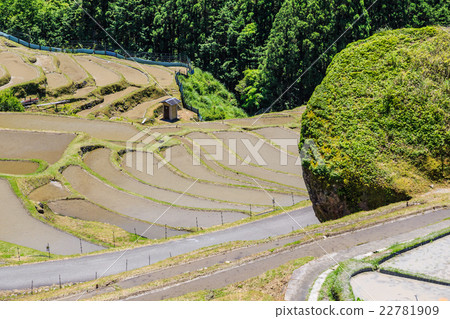 Tamada Terada in Kumano Maruyama Senjita 22781909