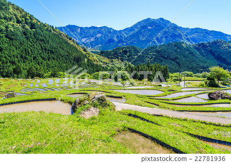Tamada Terada in Kumano Maruyama Senjita Tamada Terada in Kumano Maruyama Senjita 22781936