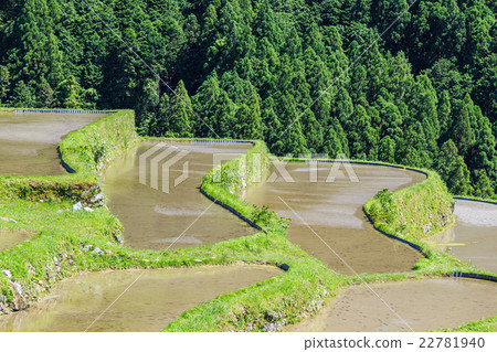 Tamada Terada在Kumano Maruyama Senjita 22781940