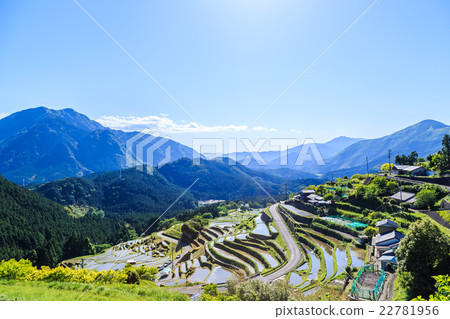 Tamada Terada in Kumano Maruyama Senjita Tamada Terada in Kumano Maruyama Senjita 22781956