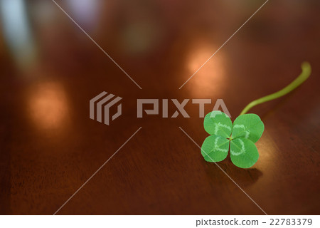 看看桌子上的四葉草 看看桌子上的四葉草 22783379