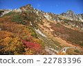 Autumn mountain Senjojiki curl 22783396
