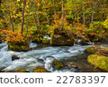 Oku Isege valley in autumn 22783397
