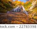 Snoopy Waterfall 22783398