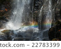Rainbow Falls 22783399