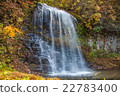 Autumnal waterfall 22783400