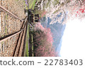 Spring Watarase Railway 22783403