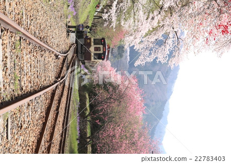 Spring Watarase Railway Spring Watarase Railway 22783403