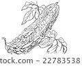 手寫的插圖素材 22783538