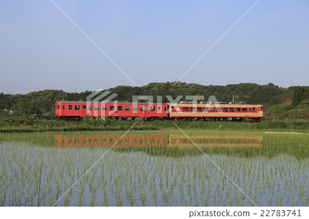 Isuimi Railway Kiha 52 + Kiha 28火車和水鏡 22783741