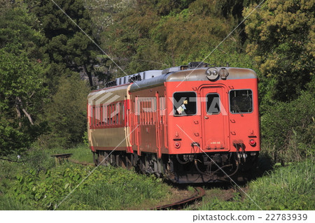 Isuimi Railway Kiha 52 + Kiha 28 Isuimi Railway Kiha 52 + Kiha 28 22783939