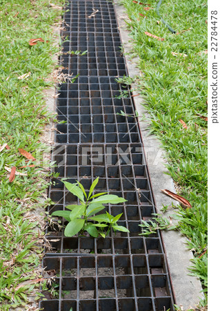 iron grate of water drain in grass garden field iron grate of water drain in grass garden field 22784478