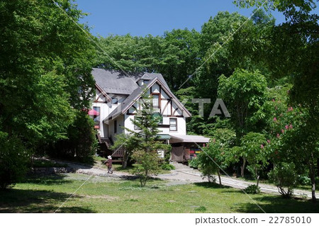 Kiyosato / Moe tree village 22785010