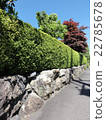Fresh green hedge 22785678