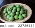 Ome (Old castle plum) 22786334