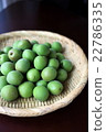 Ome (Old castle plum) 22786335