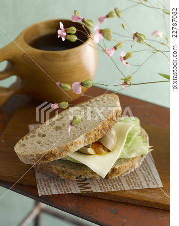 坎帕涅沙 22787082