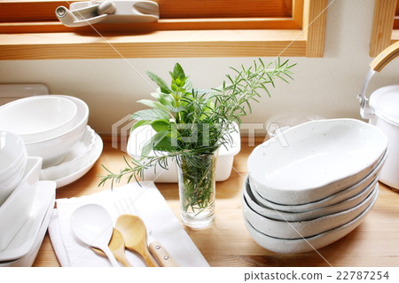 Kitchen to use herb for cooking 22787254