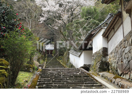 Entrance of Tokachi-ji 22788989