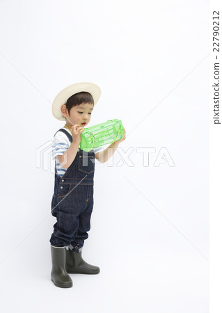 收集昆蟲 收集昆蟲 22790212