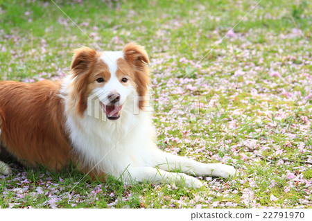 Take a break♪ 22791970