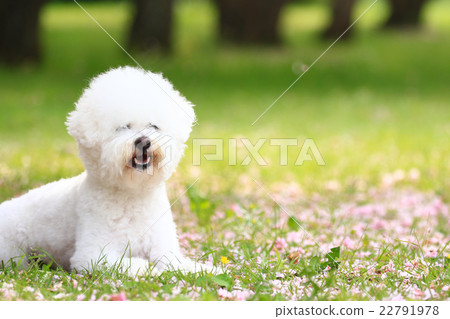 Take a break♪ 22791978