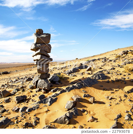 old fossil in the desert of morocco sa old fossil in the desert of morocco sa 22793078