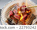  Grilled meat 22793242