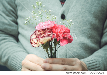 Carnation  22795521