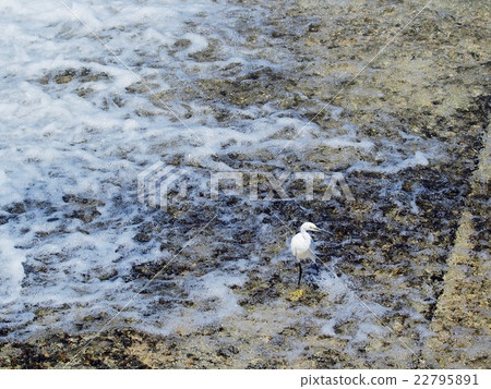 Falls in the fall 22795891