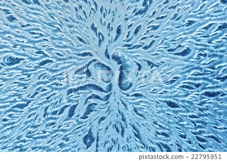 Hoarfrost textured background 22795951
