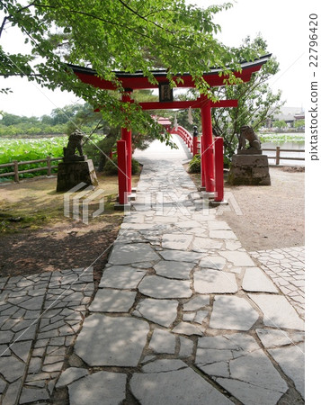 The approach of the shrine The approach of the shrine 22796420