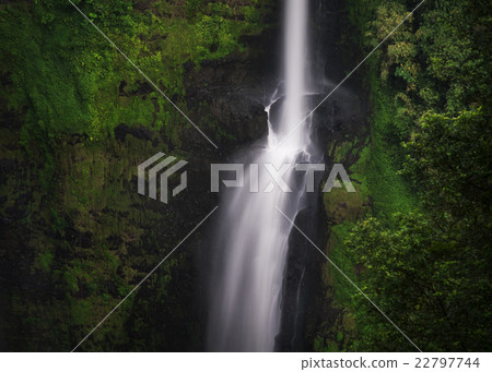 Taddan Falls Taddan Falls 22797744