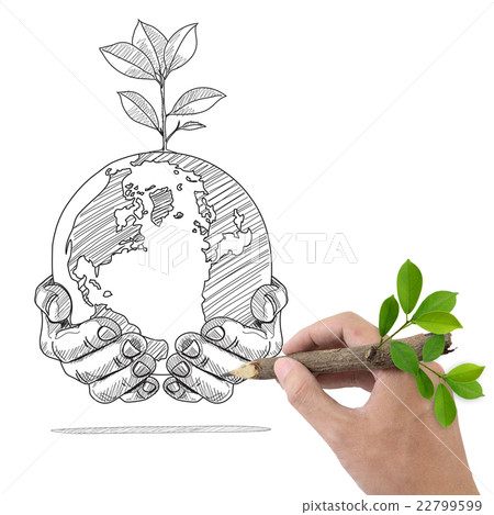 Male hand drawing Globe and Plant in the hands. Male hand drawing Globe and Plant in the hands. 22799599