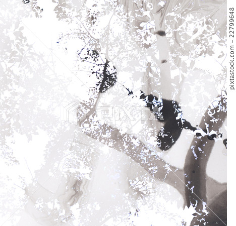 Beautiful black and white ink background image Beautiful black and white ink background image 22799648