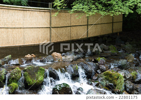 River and river bed 22801175