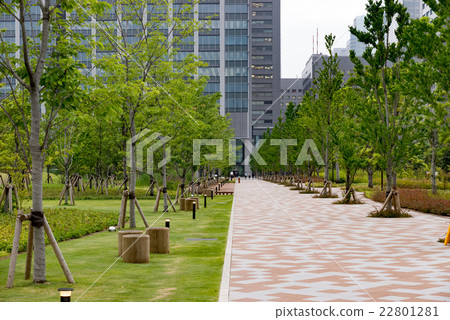 Shibaura Central Park, Minato-ku Shibaura Central Park, Minato-ku 22801281